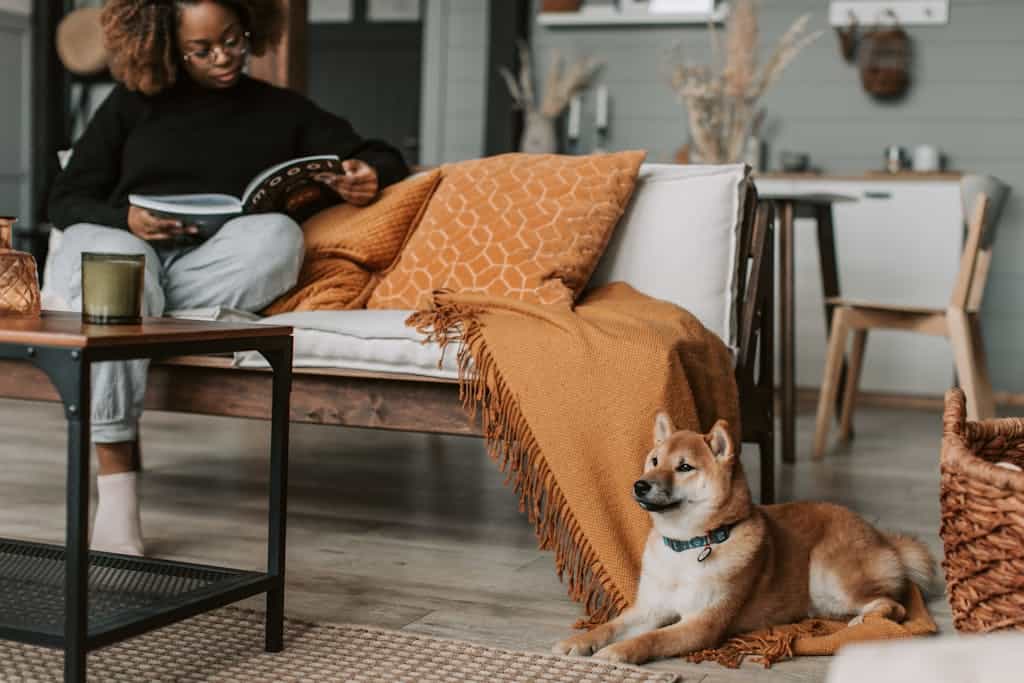 A woman enjoys a book on a cozy sofa, with a Shiba Inu dog relaxing nearby.